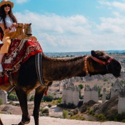 Cappadocia Camel Riding